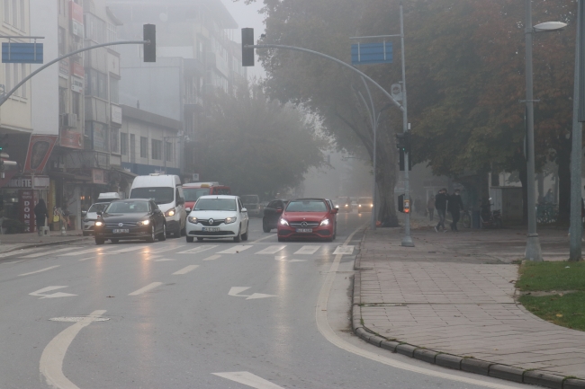 Sakarya, Bolu ve Düzce'de yoğun sis etkili oldu