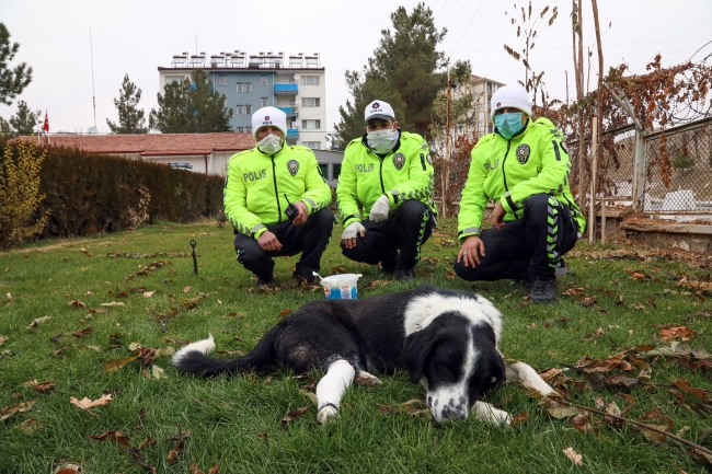 Ayağından vurulan köpeği polis ekipleri sahiplendi