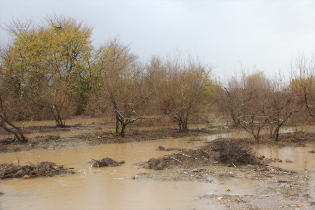 Antalya'da kuvvetli yağış: Meyve bahçeleri ve seraları su bastı