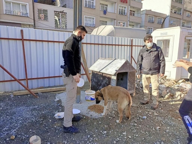 Giresun polisinden sokak hayvanlarına yem ve mama desteği