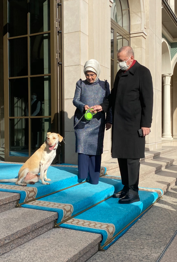 Emine Erdoğan, 4 Ekim Hayvanları Koruma Günü'nde İstanbul Fatih'teki Yedikule Hayvan Barınağı'nı ziyaret etmiş, trafik kazası sonucu kalçasında oluşan kırıklar nedeniyle 4 kez ameliyat geçiren ''Leblebi'' isimli engelli köpeği sahiplenmişti. 