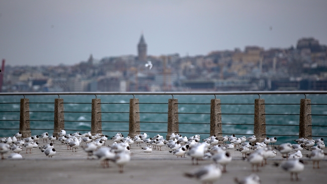 Fotoğraf: AA