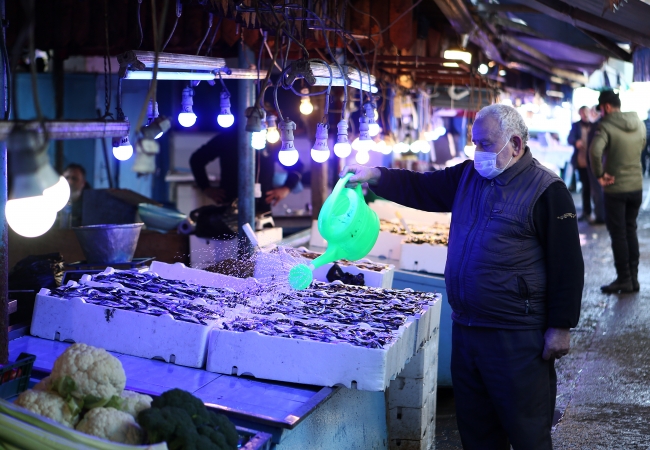 Trabzon’da balık bolluğu