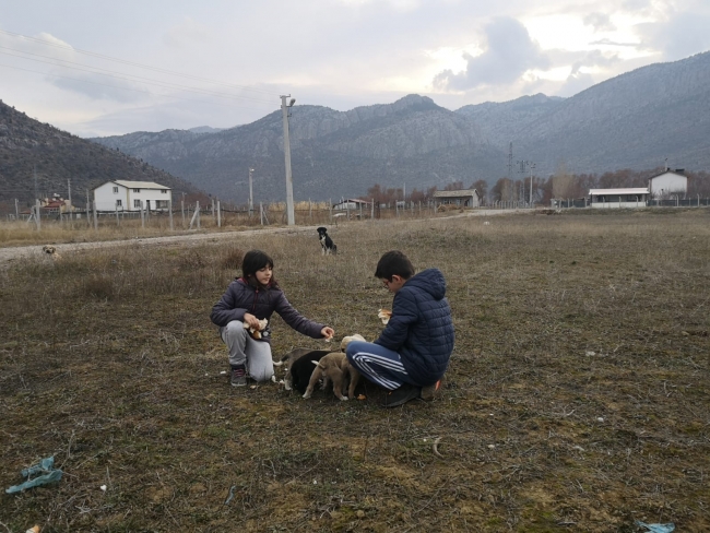 Küçük kardeşler yavru köpeklere sahip çıktı