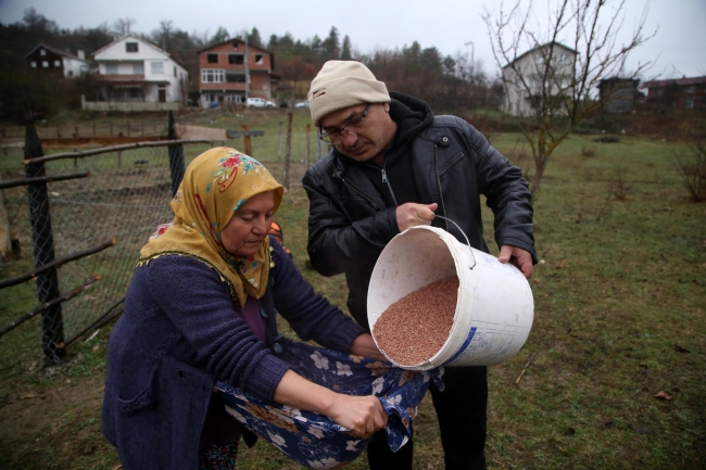 Kastamonu'da yıllardır atıl kalan tarlalar yaban hayvanları için ekildi