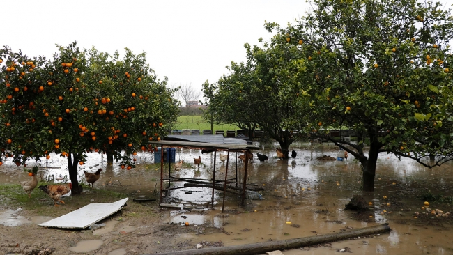 Muğla'da tarım arazileri su altında kaldı