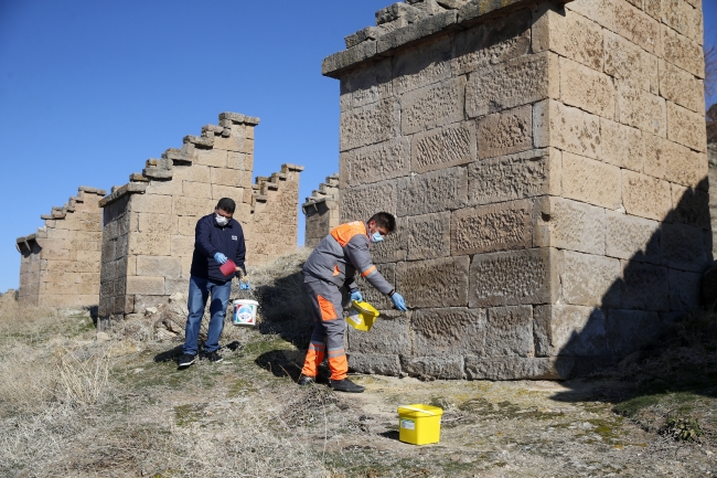 Gesi Bağları'nın "kuş köşkleri" turizme kazandırılacak