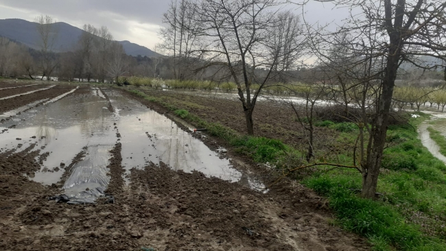 Bilecik'te Göksu Nehri taştı: Tarım arazileri su altında kaldı