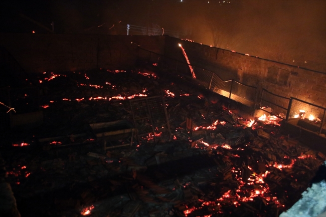 Uşak'ta yangın: 2 ev, 1 ahır kullanılamaz hale geldi