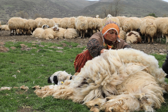 Ömürleri sürülerin peşinde geçen göçerler