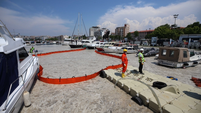 Çanakkale'de 20 ton müsilaj toplandı