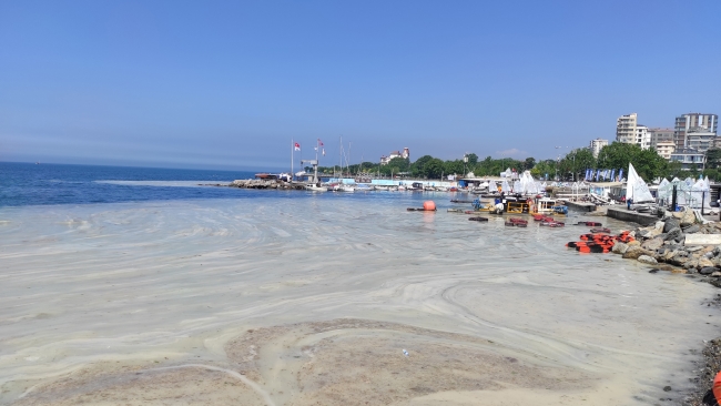 İstanbul'da müsilaj temizleme çalışmaları sürüyor