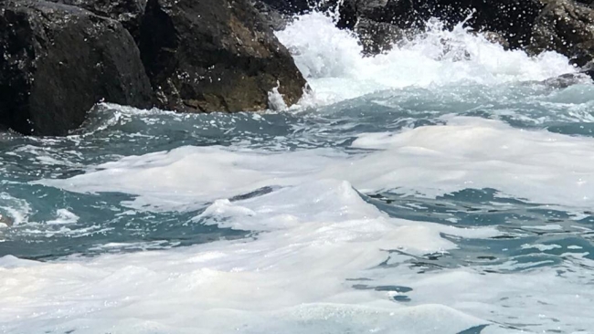 Hatay sahil şeridinde görülen sıvının müsilaj olmadığı belirlendi