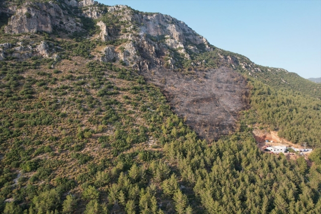 Antalya'da orman yangını