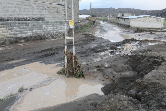 Iğdır'da sel: Bazı evleri su bastı, tarım arazileri zarar gördü