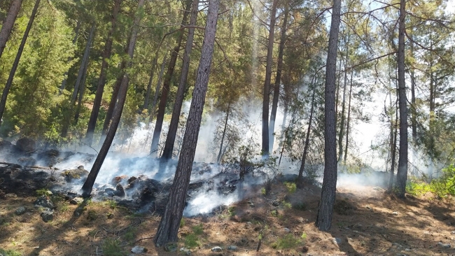 Antalya'da çıkan orman yangını söndürüldü