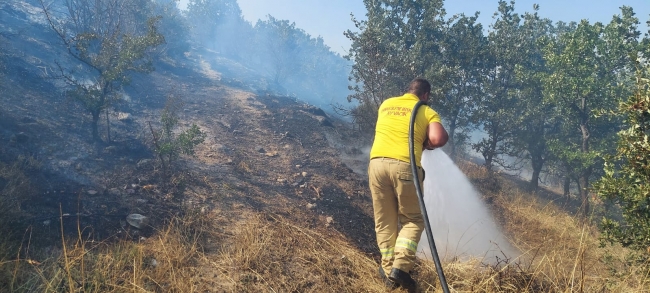 Çanakkale'de orman yangını: 10 hektar alan zarar gördü