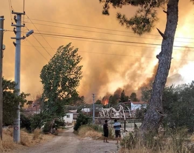 Seydikemer'de orman yangını