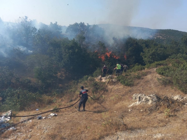 Balıkesir'de 10 dönüm ağaçlık ve otluk alan zarar gördü