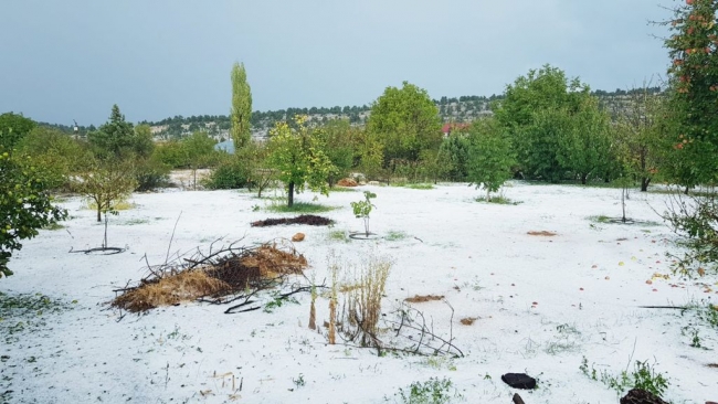 Mersin'de dolu yağışı sebze ve meyve bahçelerine zarar verdi