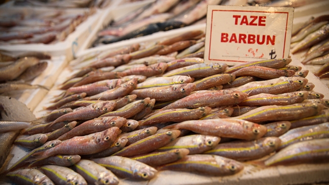 Mersinli balıkçıların bekeretli avı tezgahları şenlendirdi