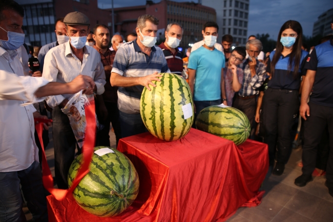 Festival şampiyonu 45,5 kiloluk karpuz oldu