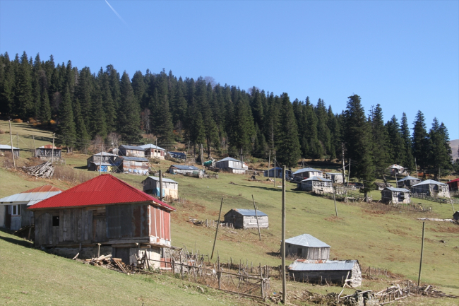 Giresun'daki Gölyanı Yaylası turizme kazandırılıyor