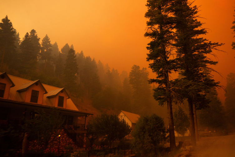 ABD'de orman yangınları: New Mexico'da OHAL ilan edildi