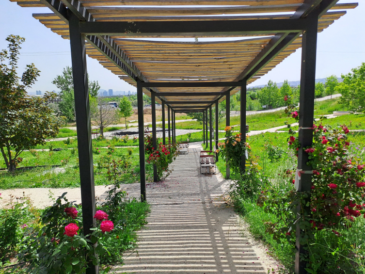 Türkiye’nin Milli Botanik Bahçesi