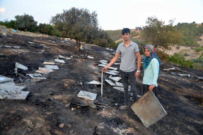 Mersin'de 250 kovan yandı, milyonlarca arı öldü