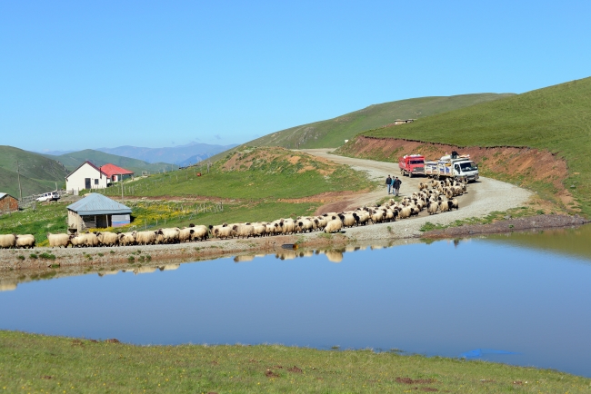 Yayla turizminin yeni adresi: Tonya