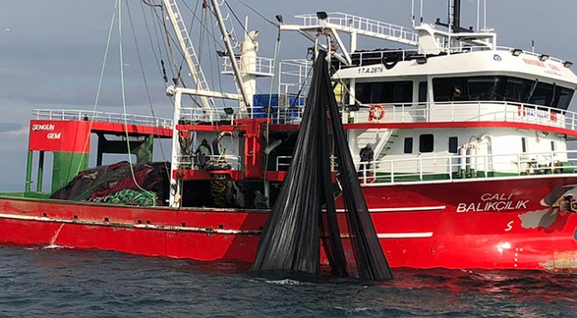 Gırgır teknesiyle tek seferde 30 ton sardalya avladılar