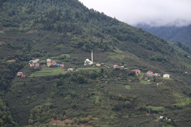 Giresun'a bağlanmak için referanduma gittiler