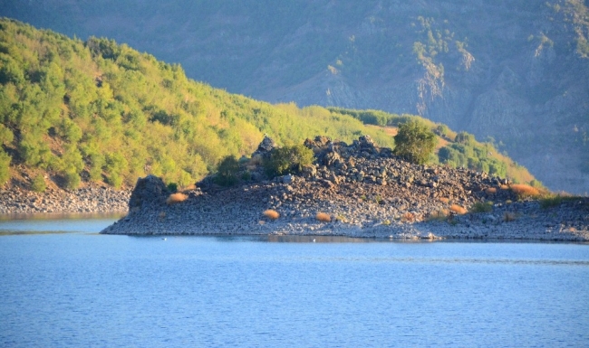 Gezginlerin yeni gözdesi 'Martı Adası'