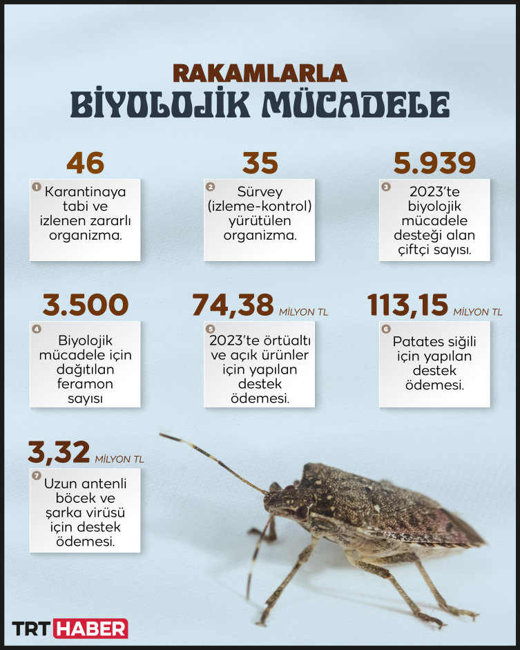 1 milyon Samuray Arısı doğaya salınacak