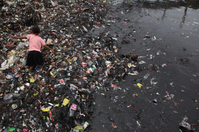 Plastik yiyen mantar türü çevre kirliliğine çare olabilir