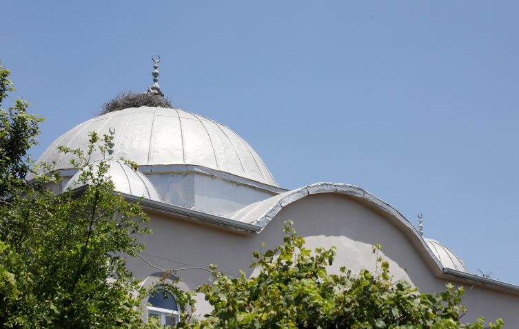 Cami kubbesindeki yuvasından düşen yavru leylek kurtarıldı