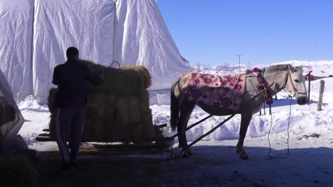 Fotoğraf: TRT Haber