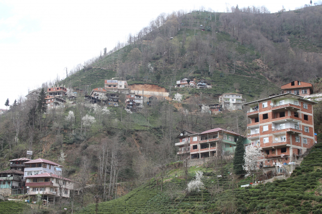 Rize’de heyelan riski olan yamaçlara istinat duvarı örülüyor