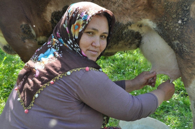 Asırlık çınarların memleketi koronavirüse de geçit vermedi