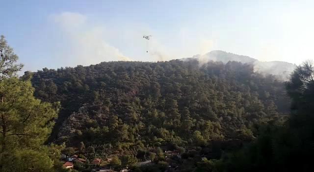 Muğla'da çıkan orman yangınında 25 hektar alan kül oldu