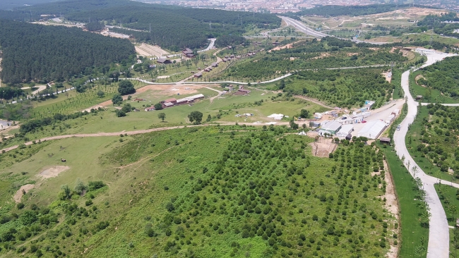 Avrupa Yakası Uluslararası Kent Ormanı için geri sayım başladı