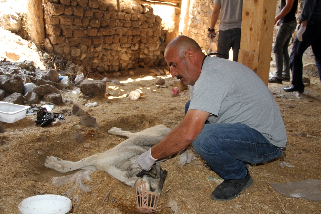 Polis ve belediye ekipleri köpeklerin imdadına yetişti