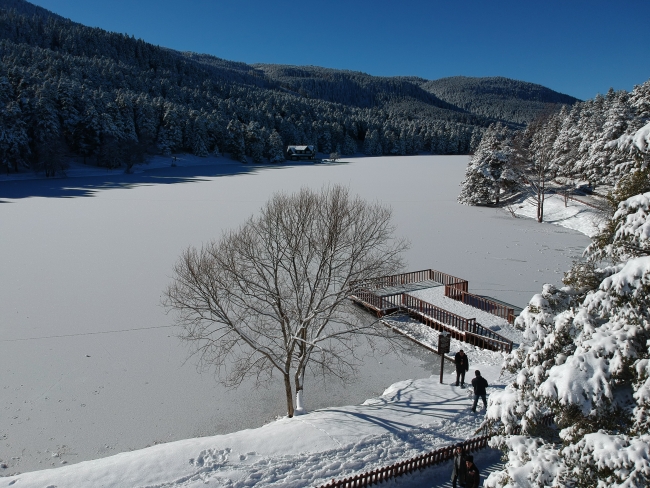 Bolu'nun incisi Gölcük Tabiat Parkı'ndaki göl buz tuttu