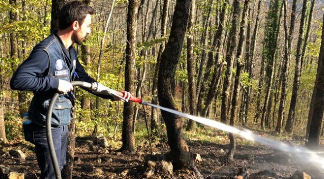 Kastamonu'da orman yangını: 7,8 hektar alan zarar gördü