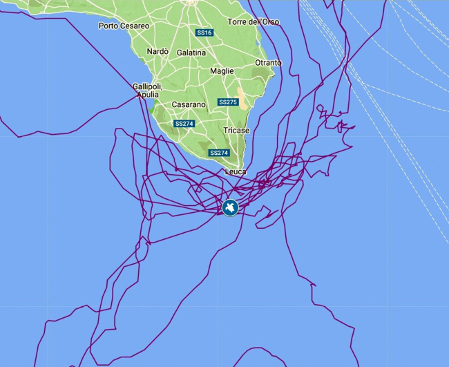 Caretta caretta 'Tuba' 42 ayda 20 bin kilometre katetti