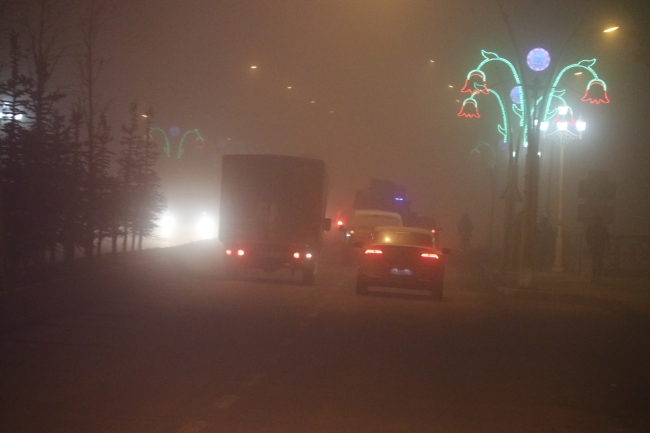 Ağrı ve Erzurum'da yoğun sis