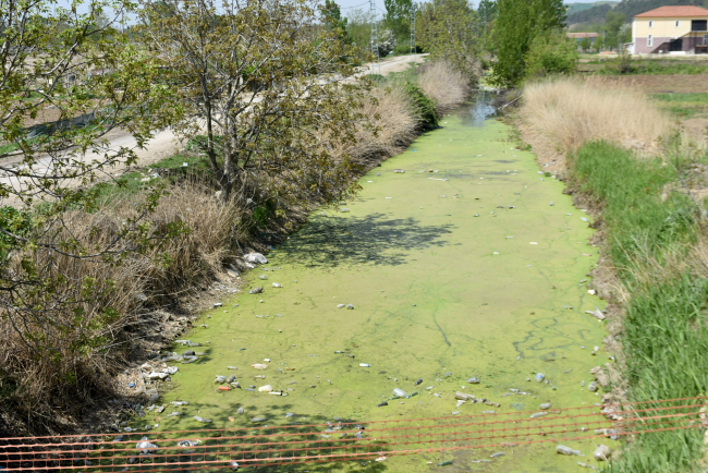 Edirne'de bulunan Bayır Deresi çöple kaplandı