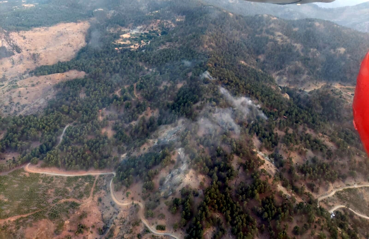 Muğla'da orman yangını