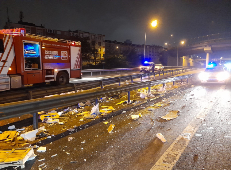 TEM Otoyolu'nda balık yüklü kamyonet devrildi: 2 yaralı